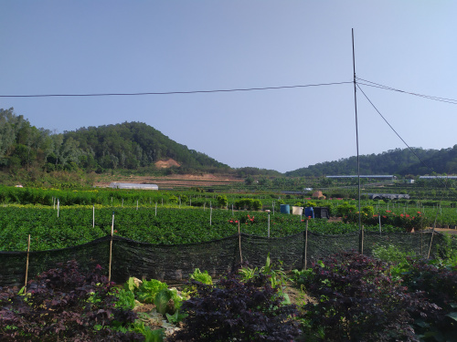 深圳農(nóng)家樂坪山九龍生態(tài)園開園啦